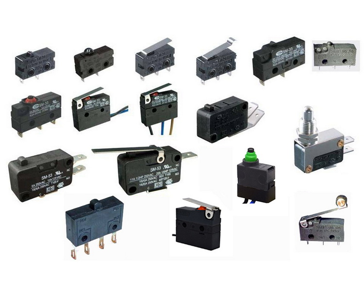 Various styles micro switch