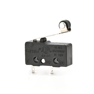 Microswitch with Rolle